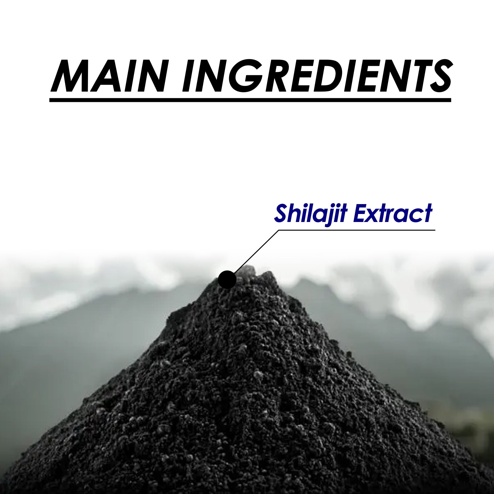 Googeer Shilajits Dietary Supplement 身体护理剂
