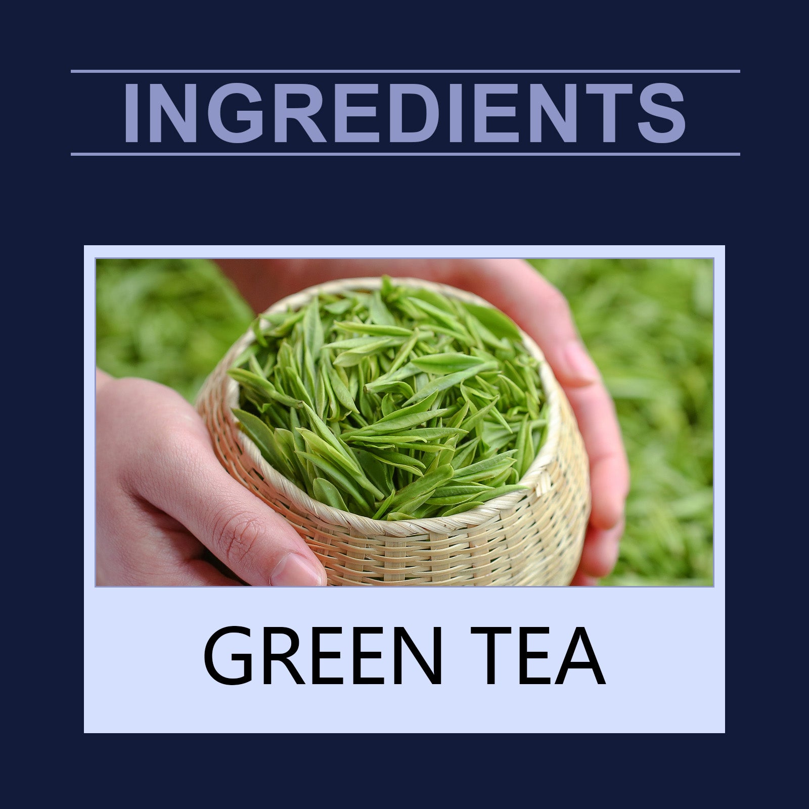 Googeer 肾脏排毒茶 肾脏清洁排毒茶身体治疗