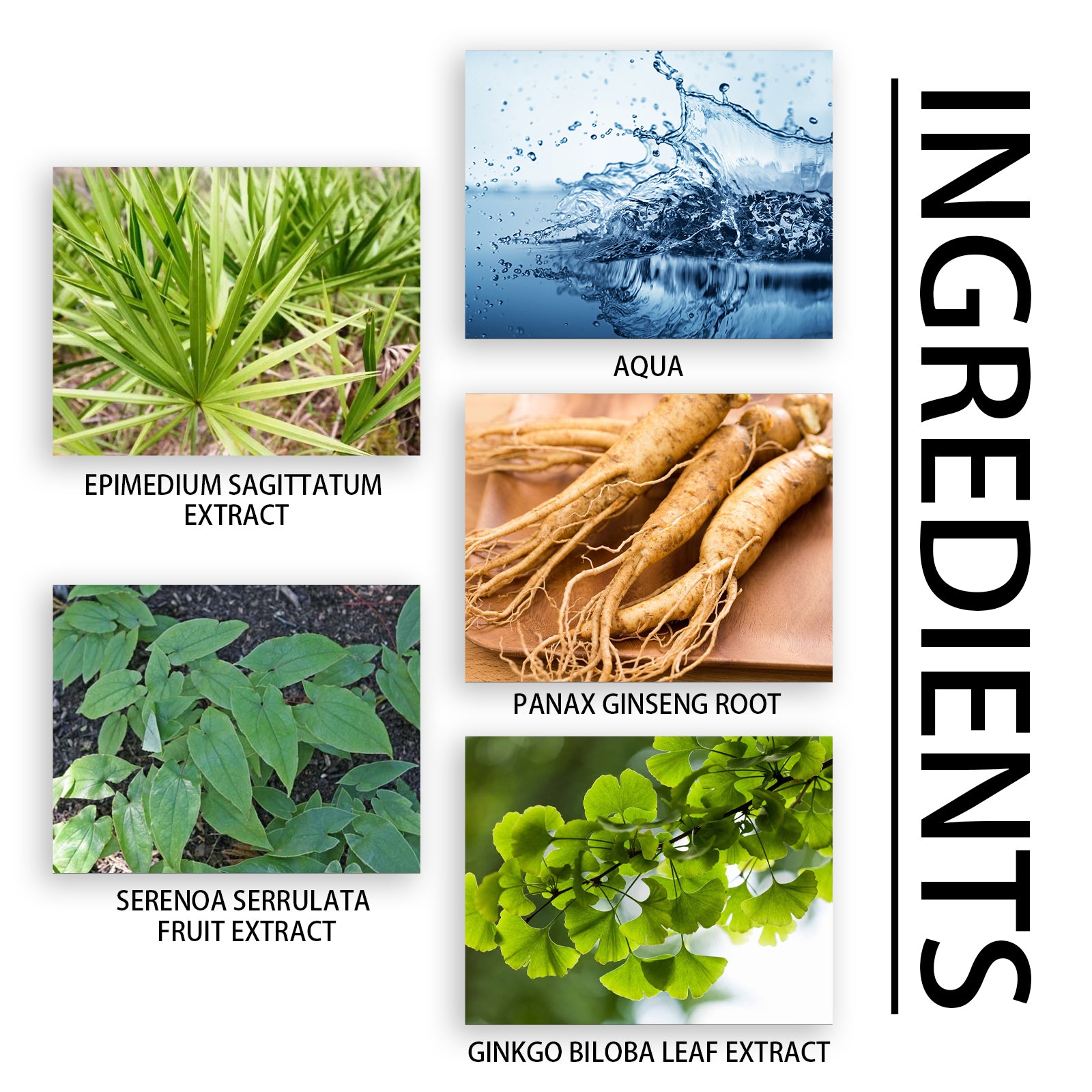 Googeer Men's Vitality Drops - Ginseng & Saw Palmetto Energy Boosting Serum