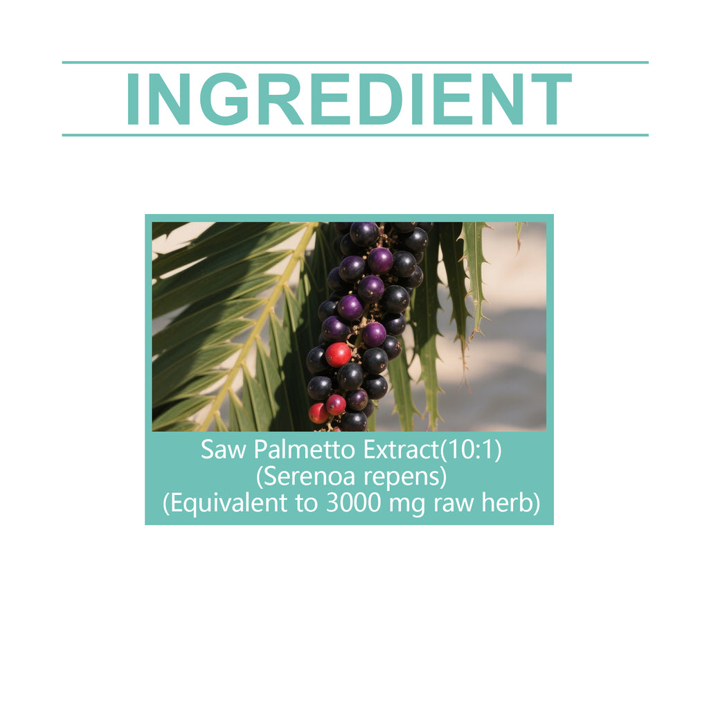 Googeer Prostate Health Drops - Saw Palmetto 10:1 Extract Urinary Support Liquid